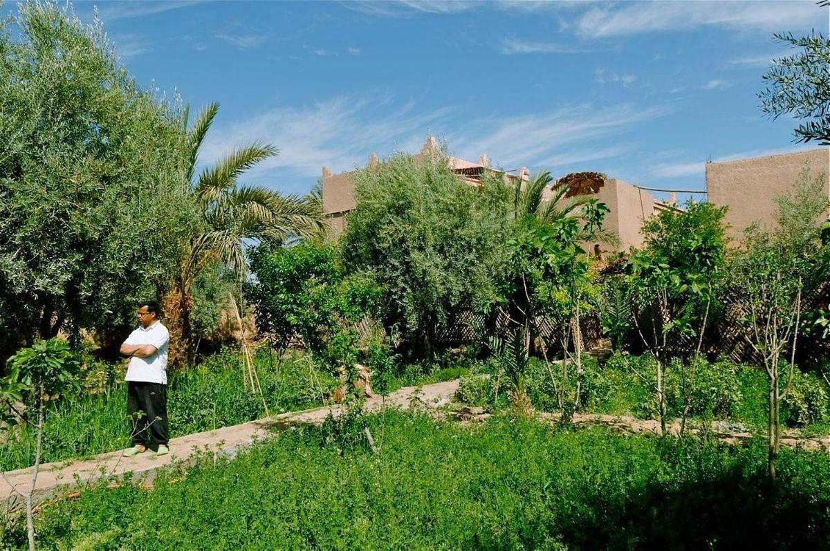 Gite Kasbah La Palmeraie Skoura Exterior photo