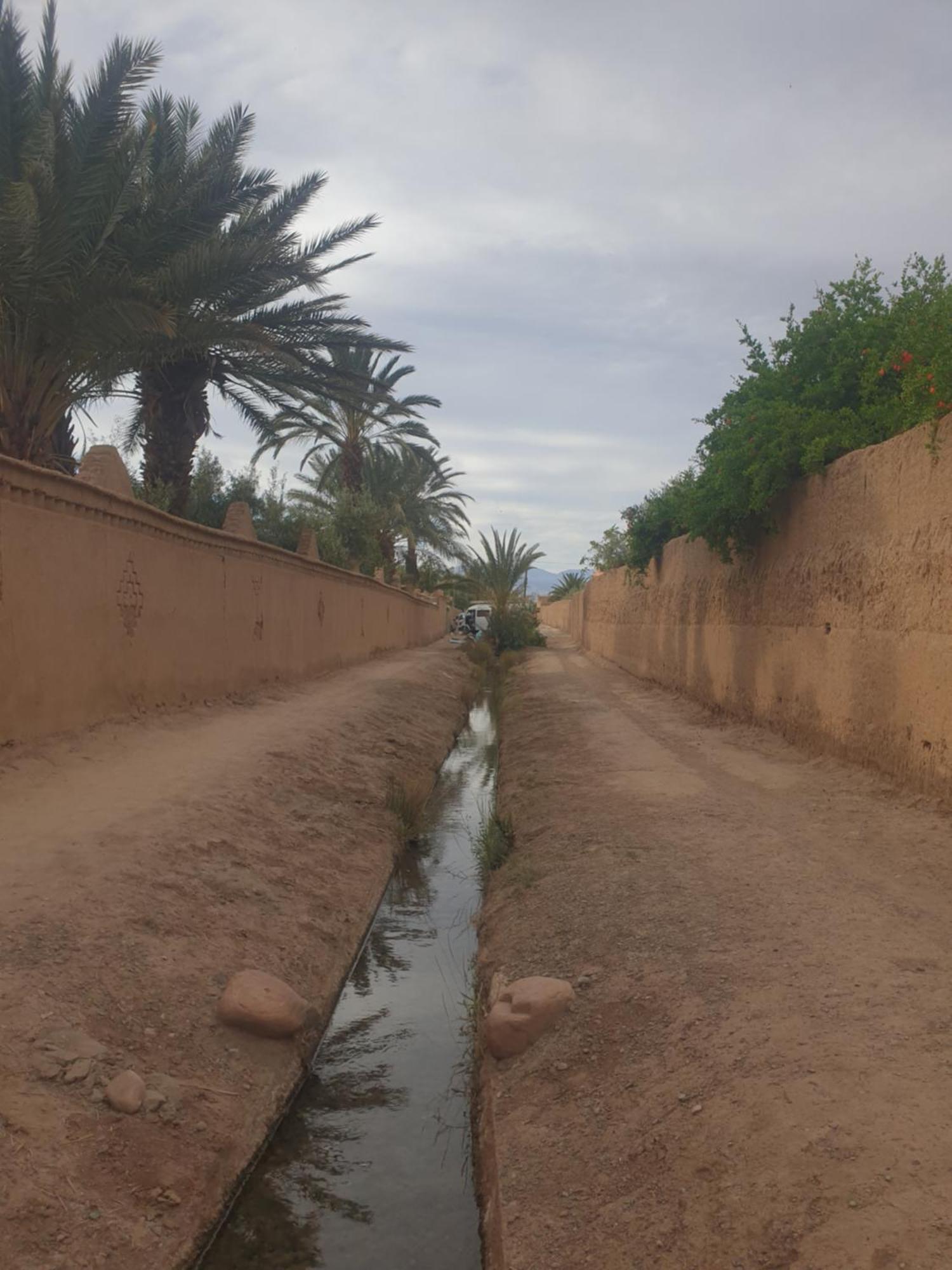 Gite Kasbah La Palmeraie Skoura Exterior photo