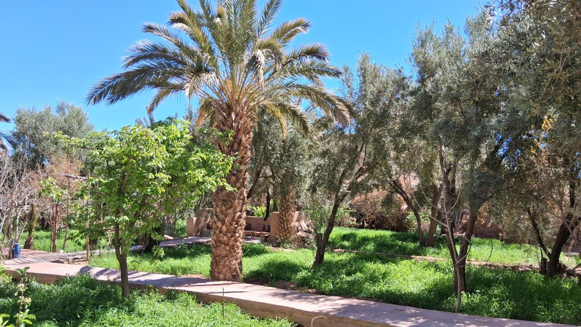 Gite Kasbah La Palmeraie Skoura Exterior photo