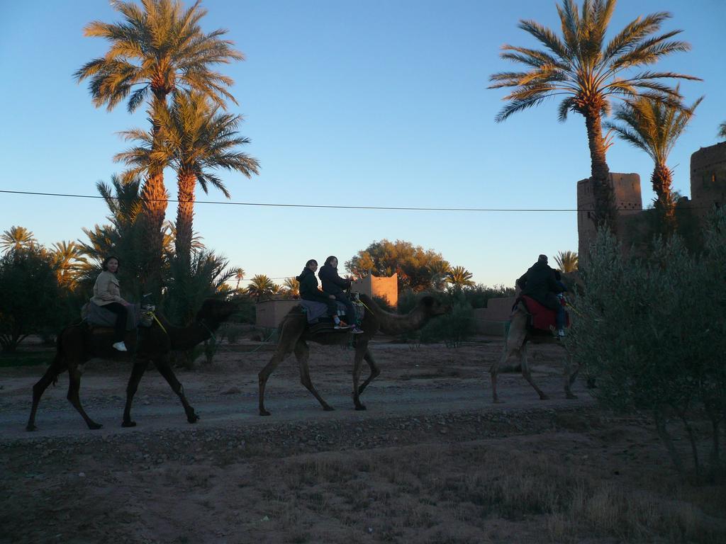 Gite Kasbah La Palmeraie Skoura Exterior photo