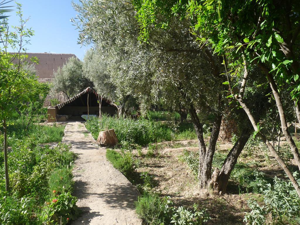 Gite Kasbah La Palmeraie Skoura Exterior photo